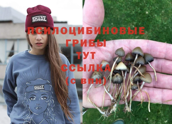 марки lsd Алзамай