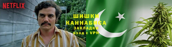 шишки Абдулино