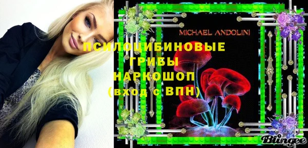 шишки Абдулино