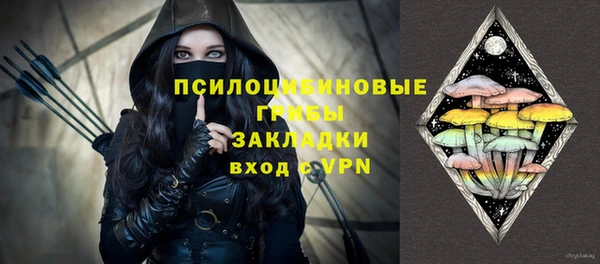 шишки Абдулино